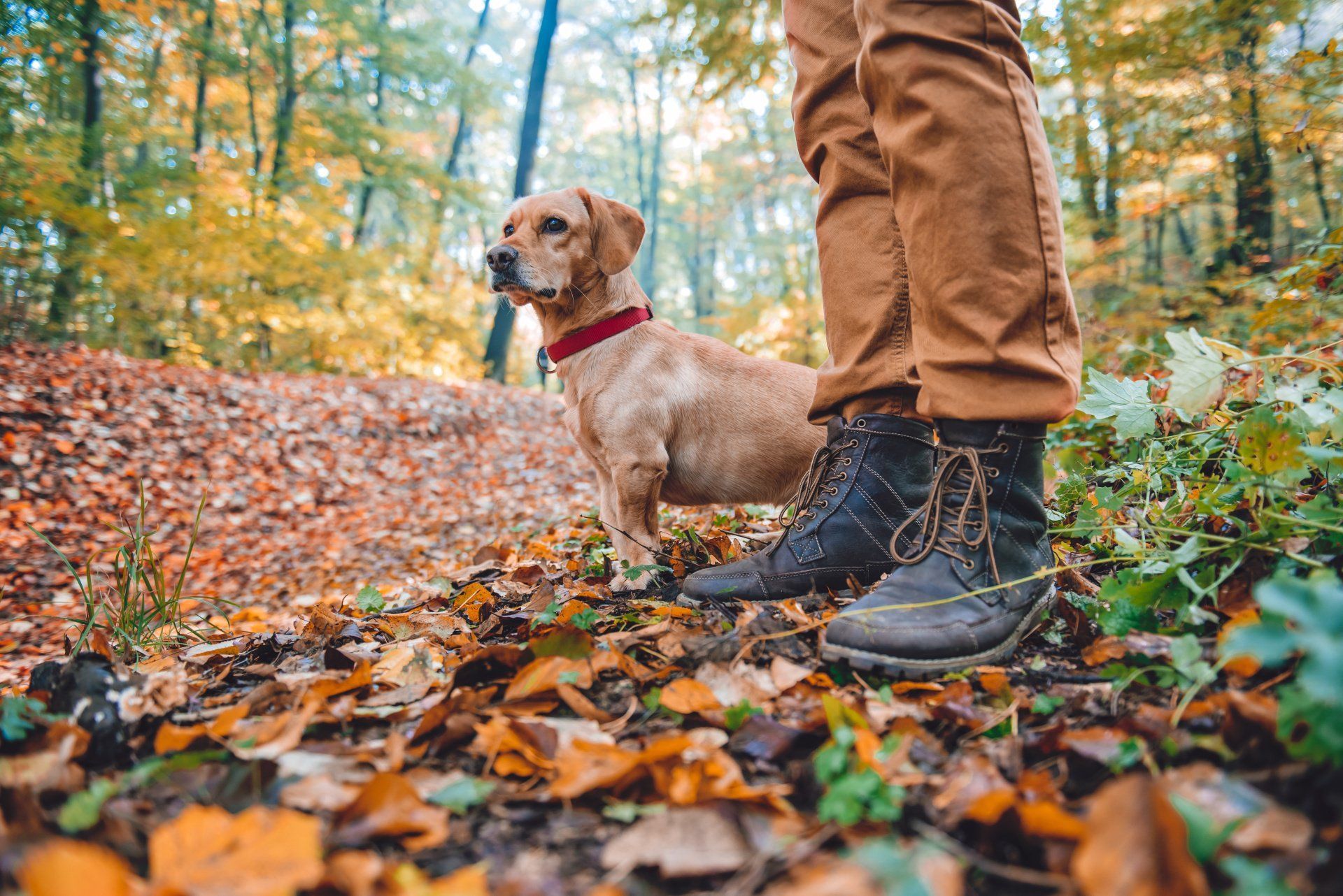 Have an outdoor adventure