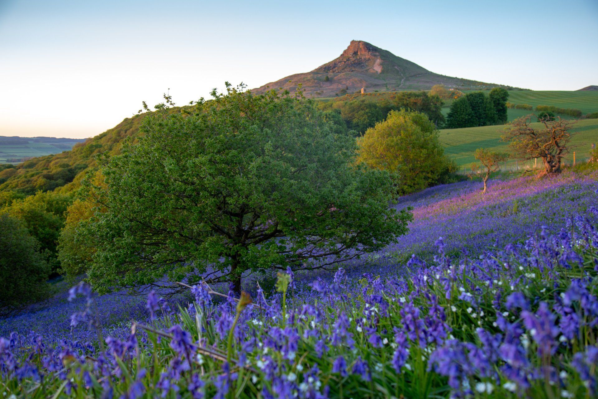 Roseberry Topping (3 miles)