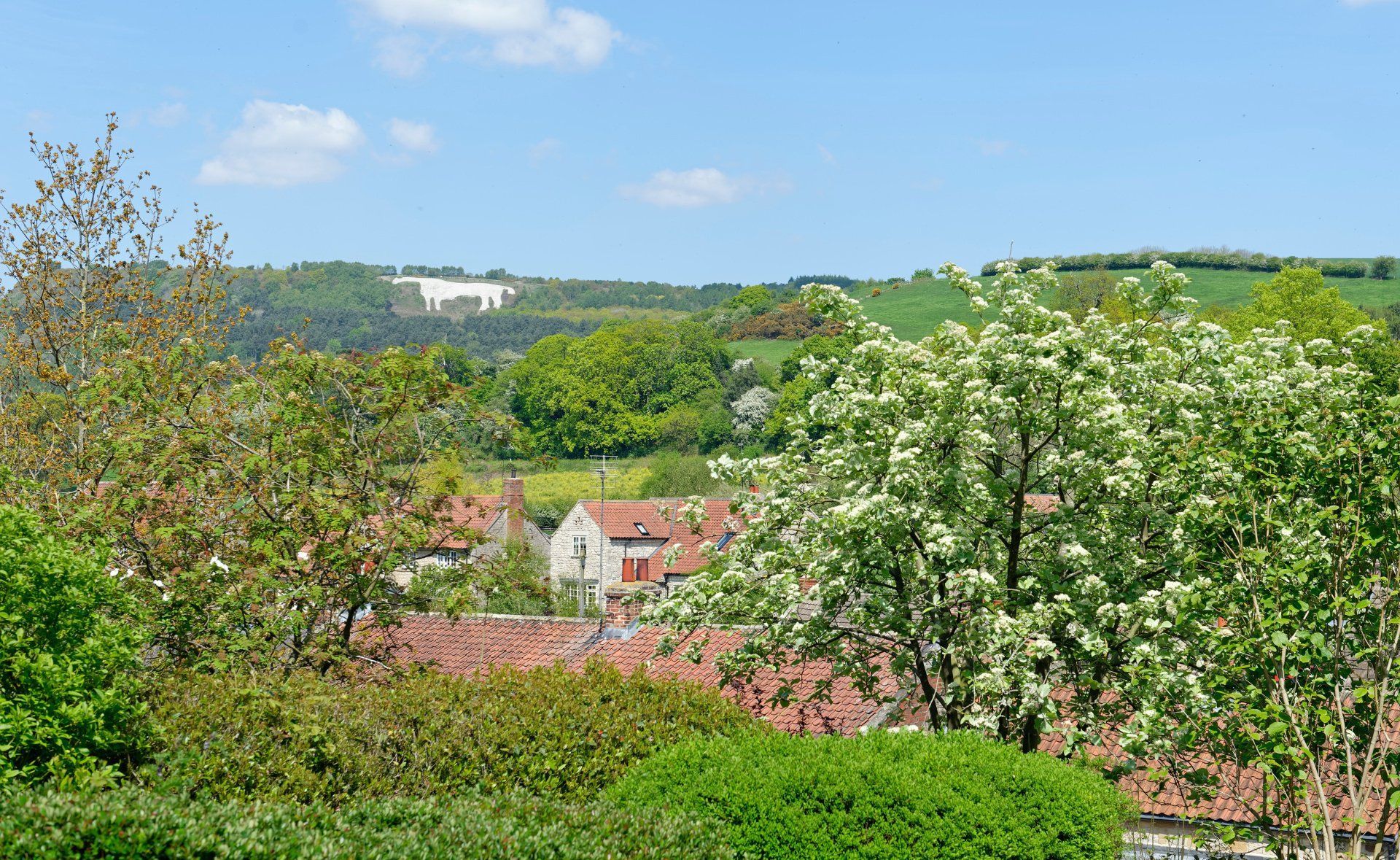 White Horse Walk (3 miles)