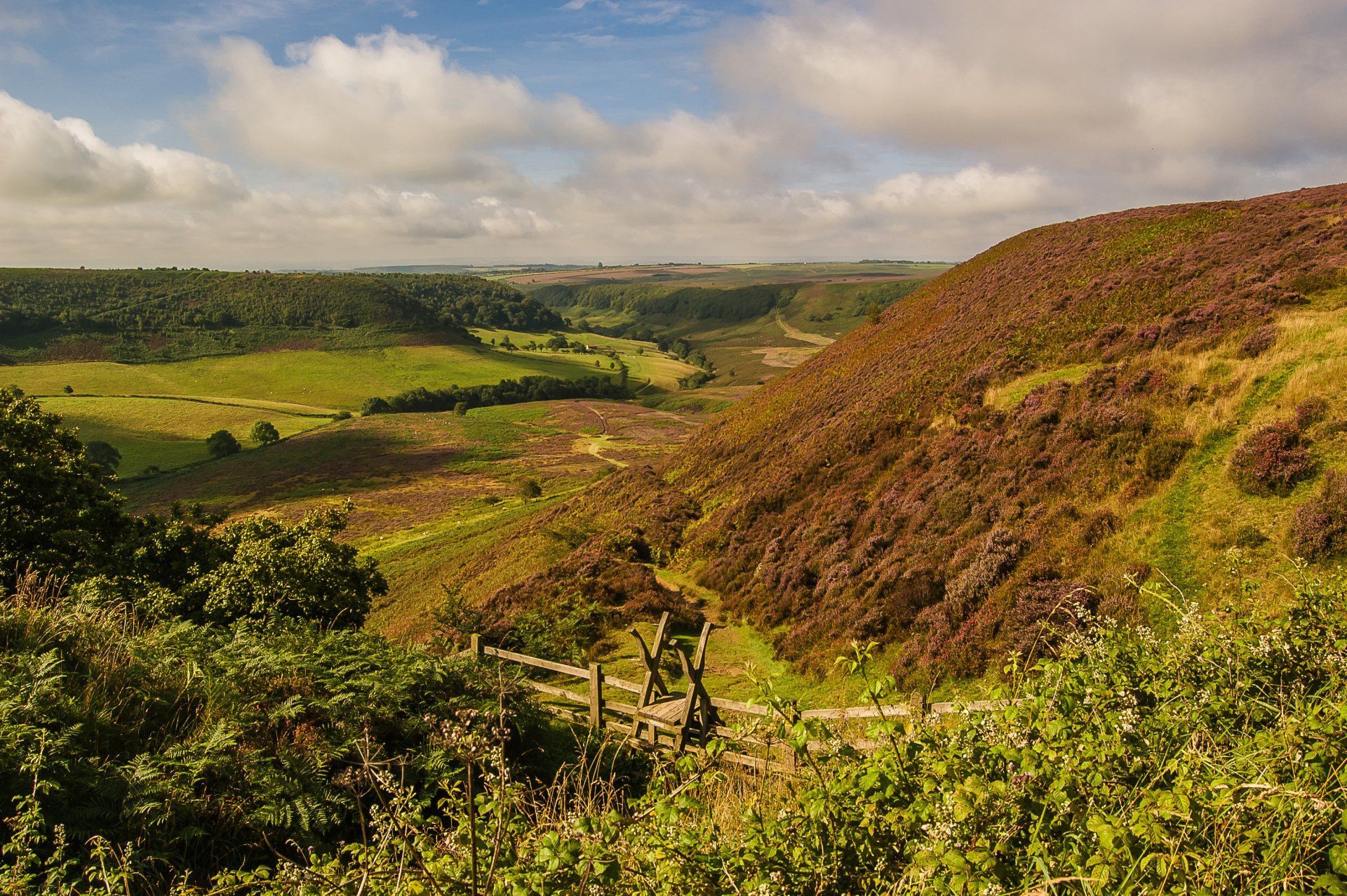 Levisham Moor and Hole of Horcum (5 miles)