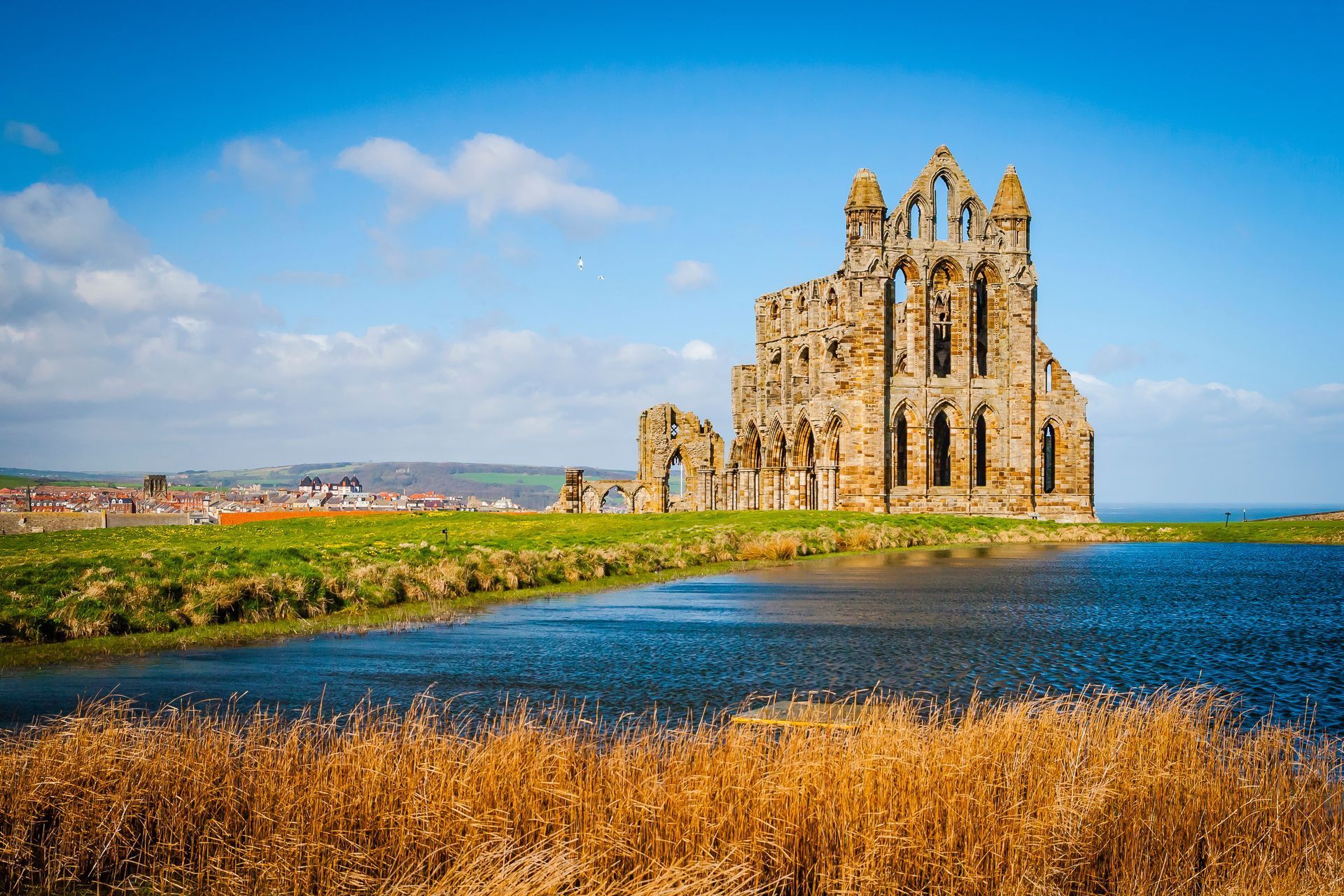 Whitby Abbey