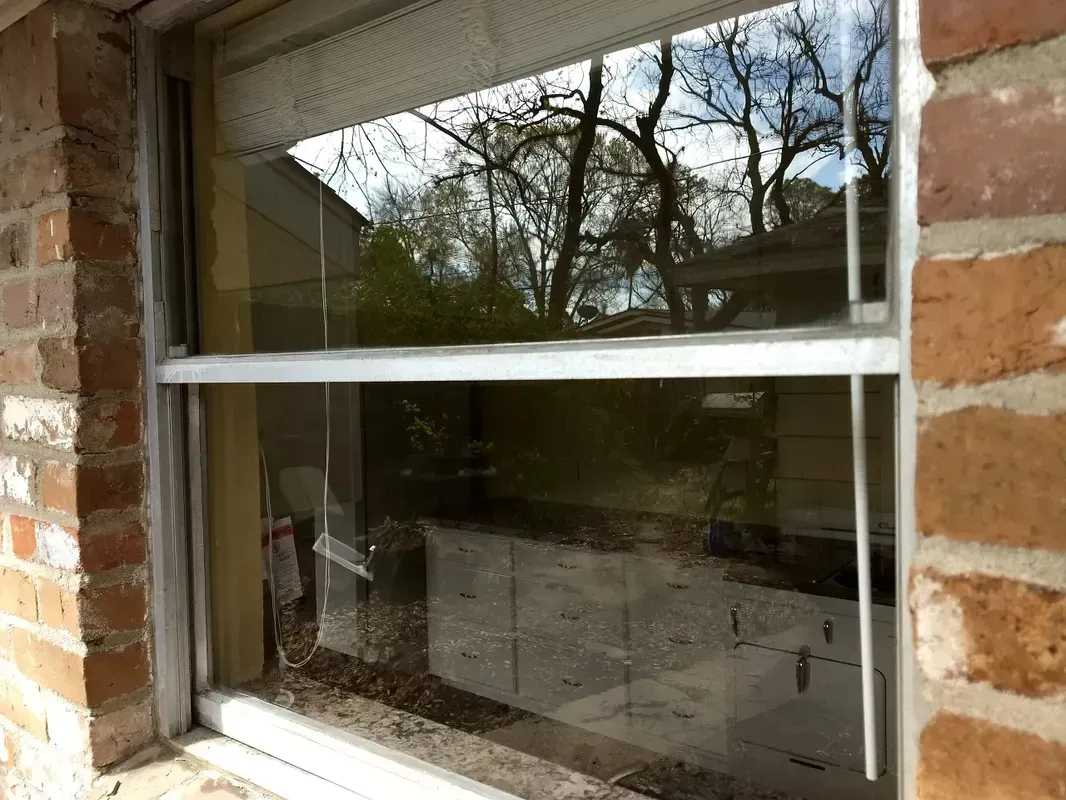 Window reflecting trees, a house, and a concrete patio. The window is set in a brick wall.