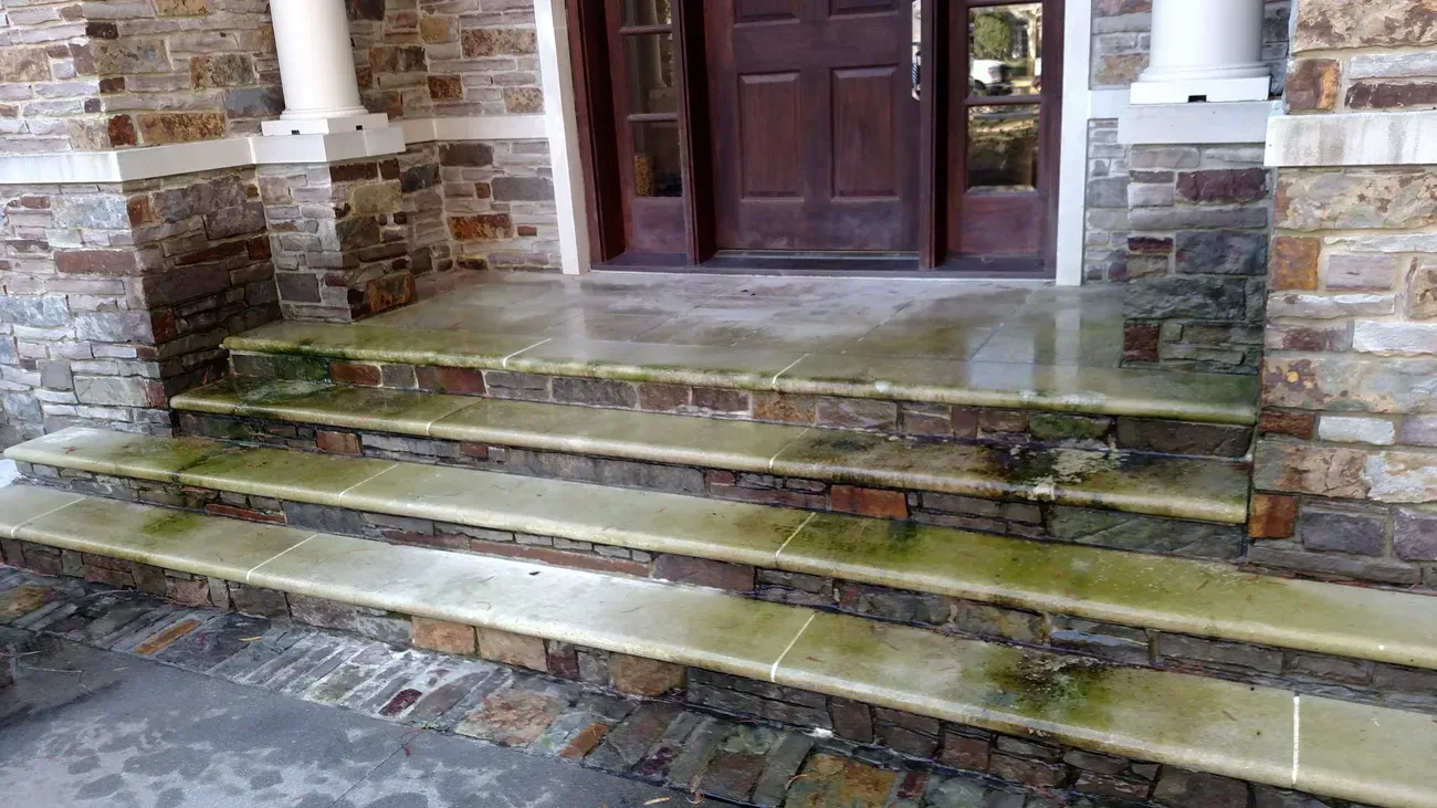 Stone steps leading to a dark wooden door. Green algae visible on the steps.