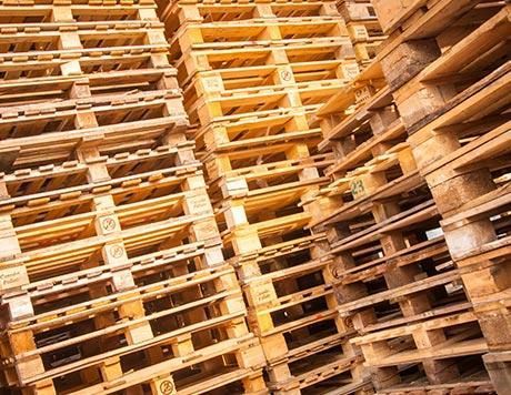 RECIOS PALLETS INTERNATIONAL S DE RL DE CV