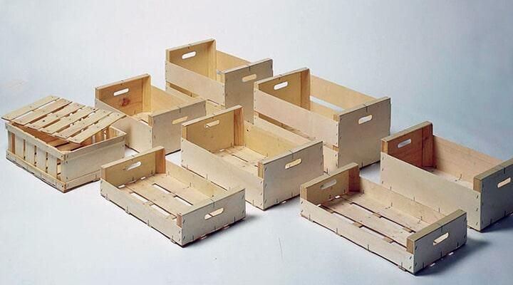 RECIOS PALLETS INTERNATIONAL S DE RL DE CV