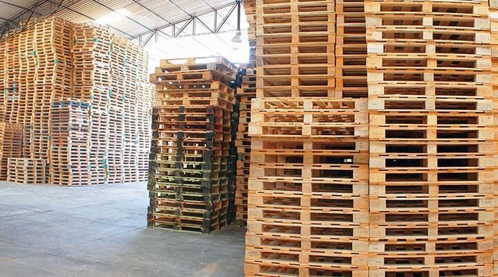 RECIOS PALLETS INTERNATIONAL S DE RL DE CV
