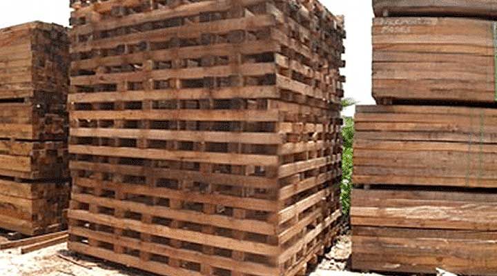 RECIOS PALLETS INTERNATIONAL S DE RL DE CV