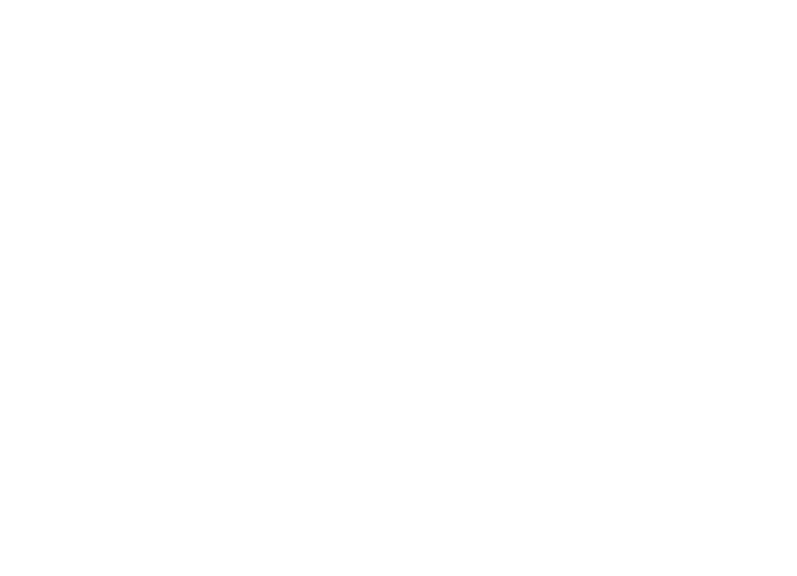 The National Forest