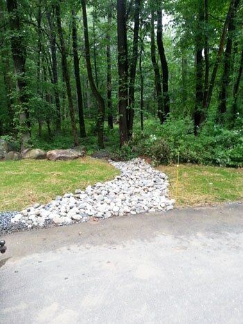 Forest — Lawn Maintenance in Princeton, NJ