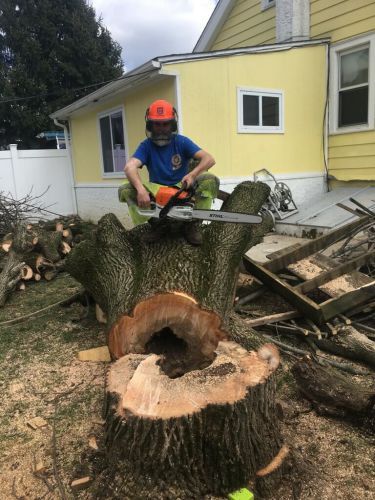 Man With Chainsaw — Lawn Maintenance in Princeton, NJ