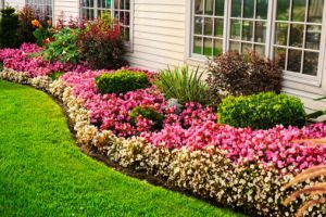 Colorful Flower Garden — Lawn Maintenance in Princeton, NJ