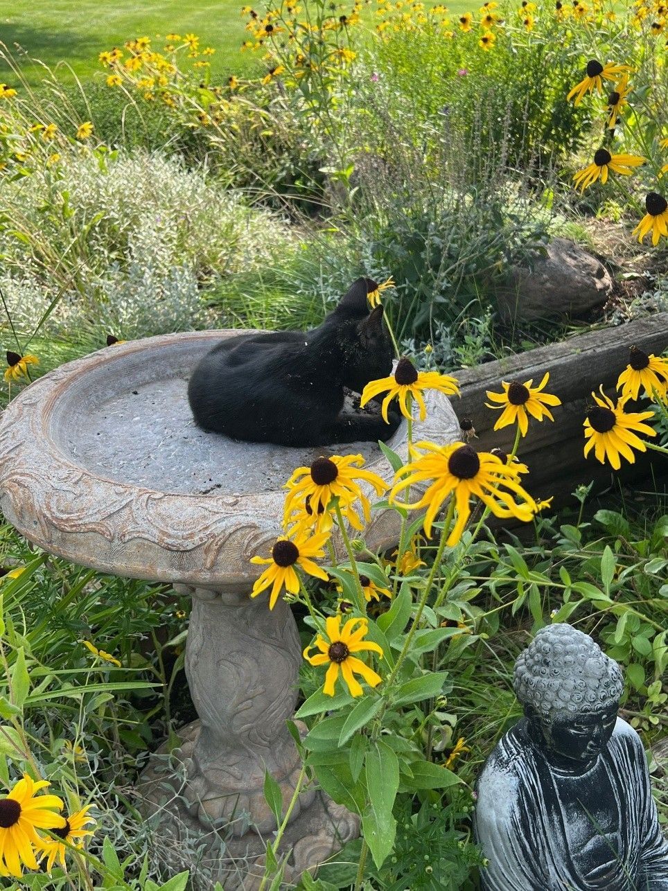 Affordable vacation homes in Bend, Oregon