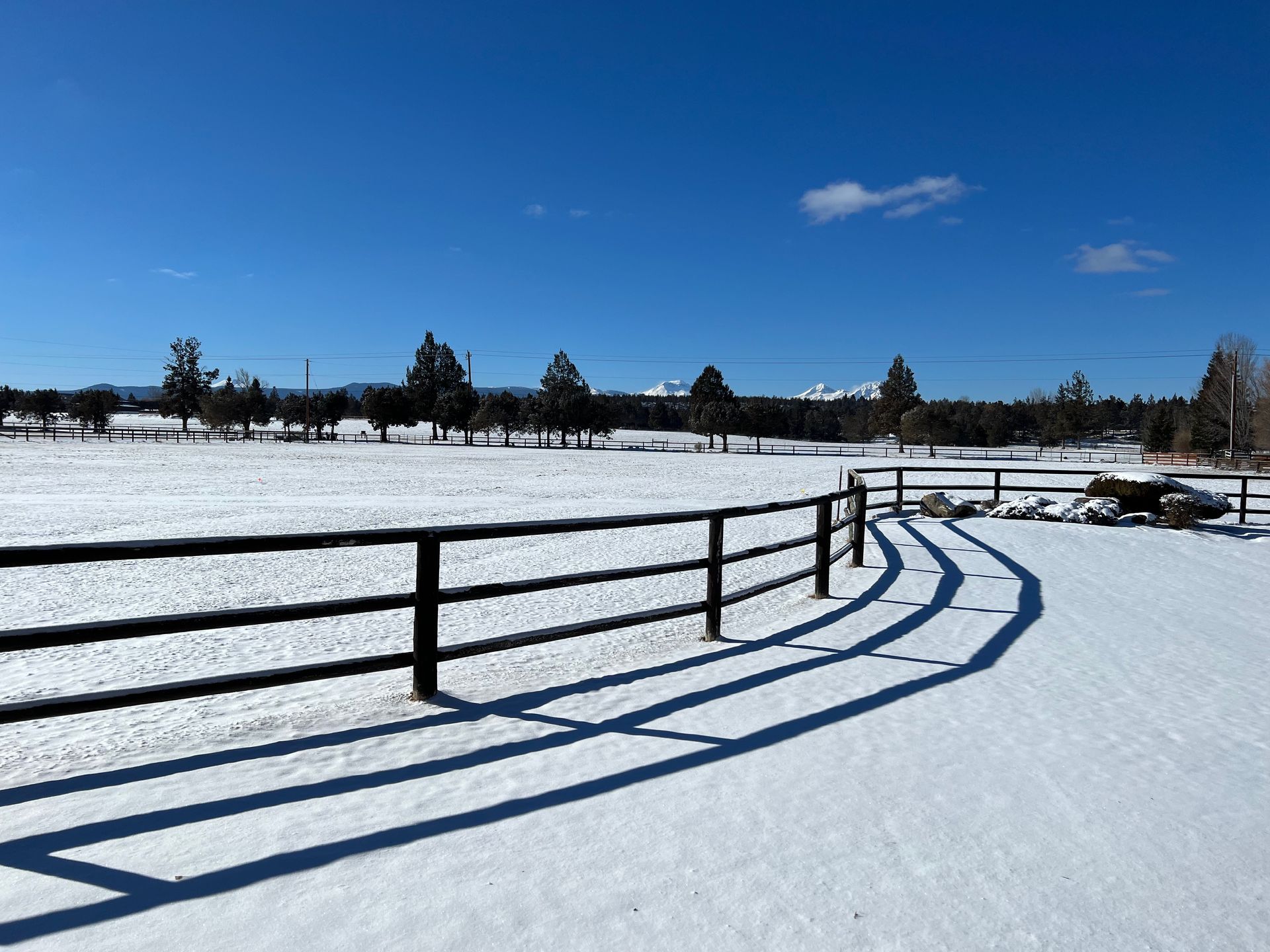 Snow-covered field with a wooden fence casting a long shadow under a bright blue sky.