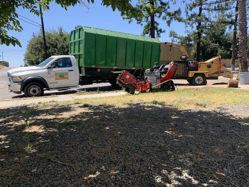About Kevin's Tree Service