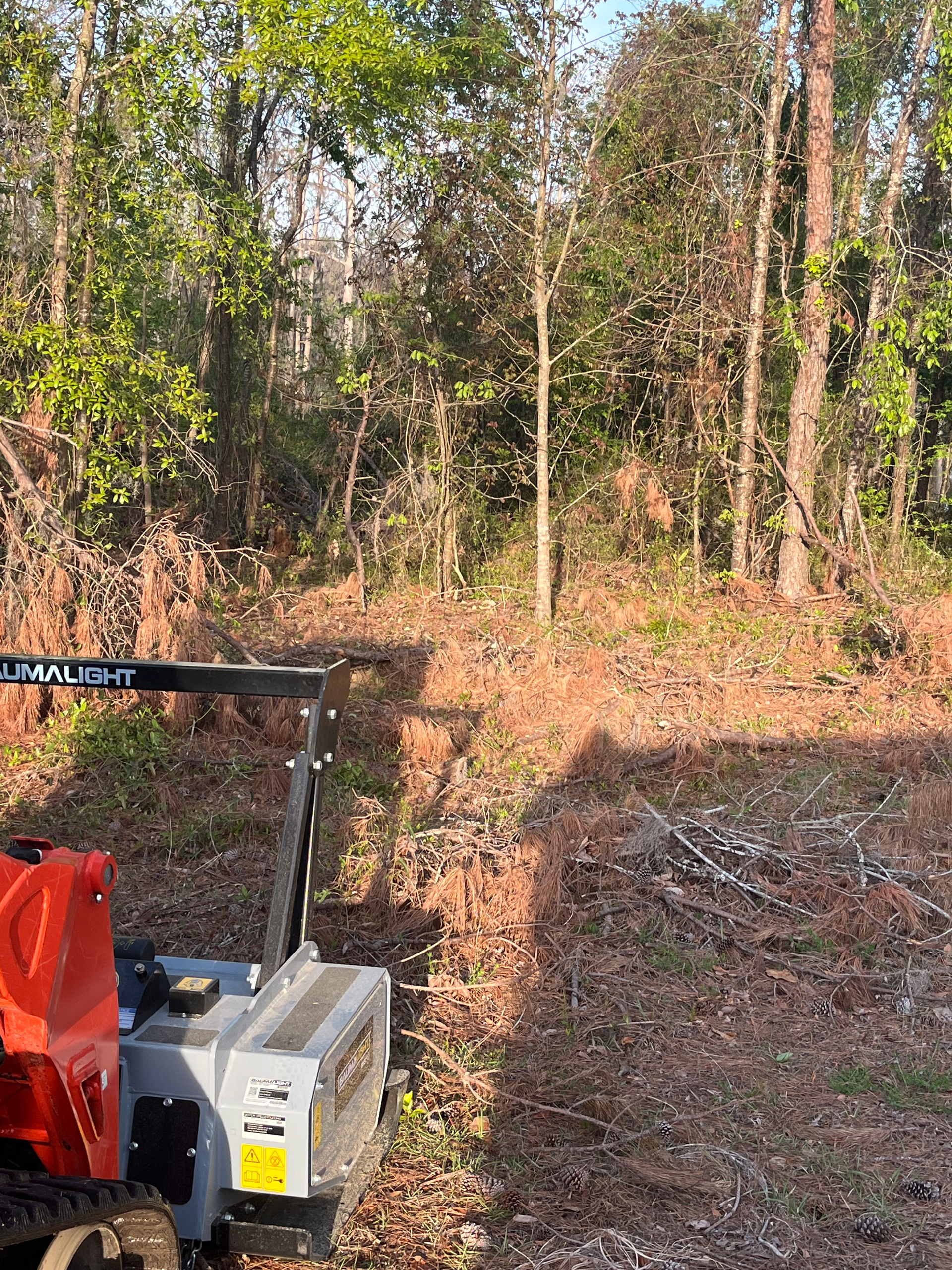 A machine is sitting in the middle of a forest.