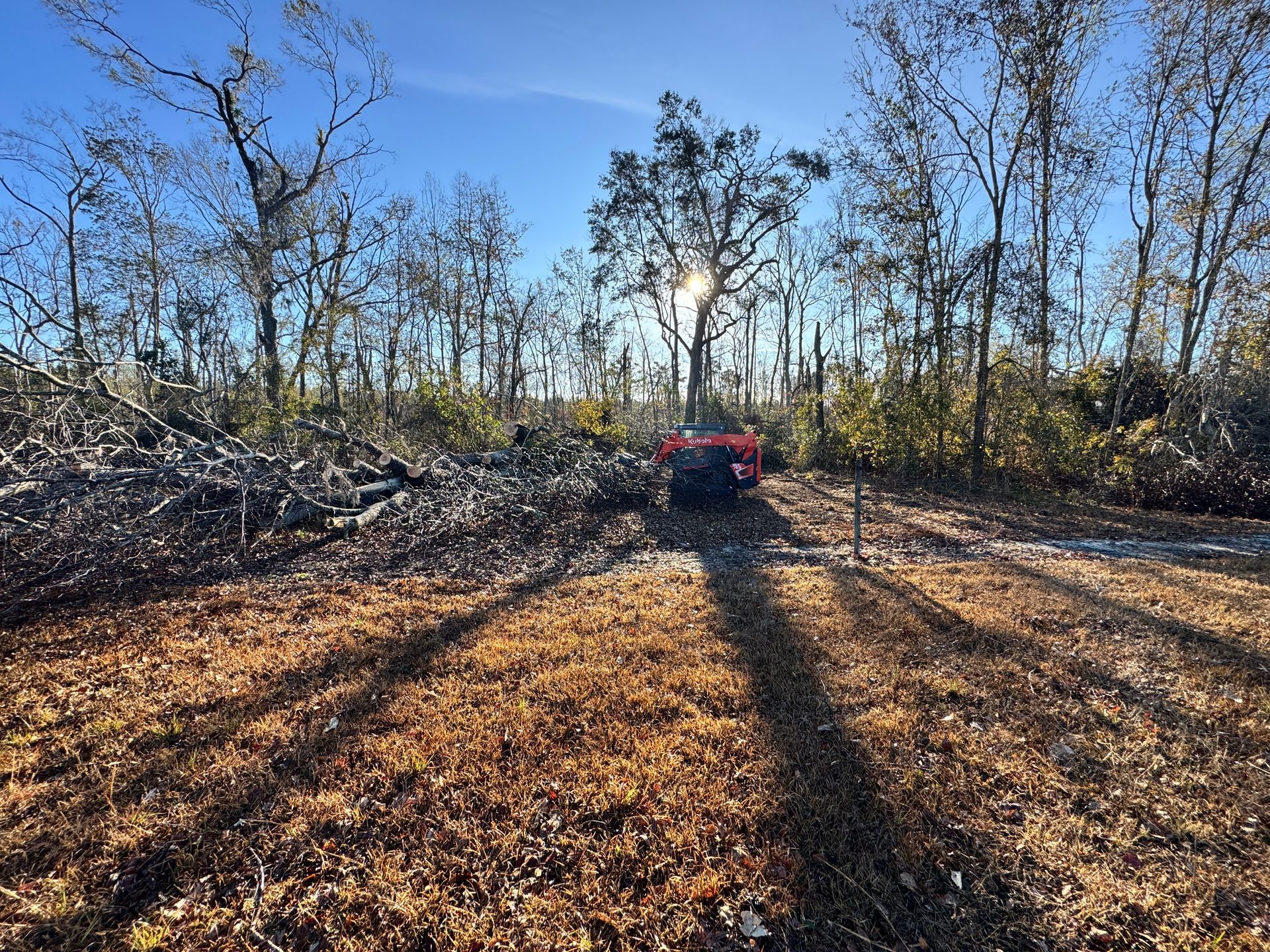 A red truck is driving down a dirt road in the middle of a forest.