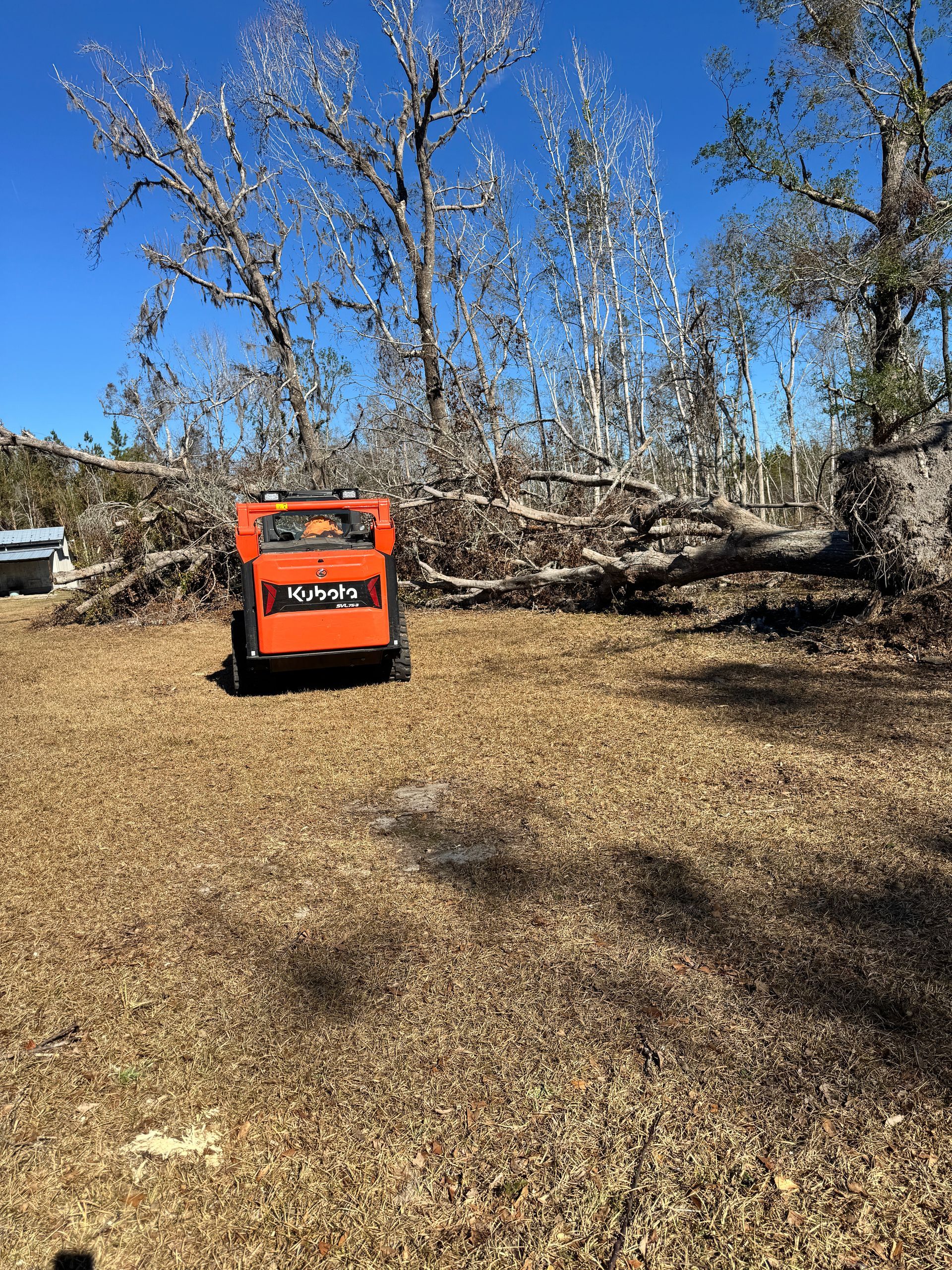 A small orange vehicle is parked in a field next to a fallen tree.
