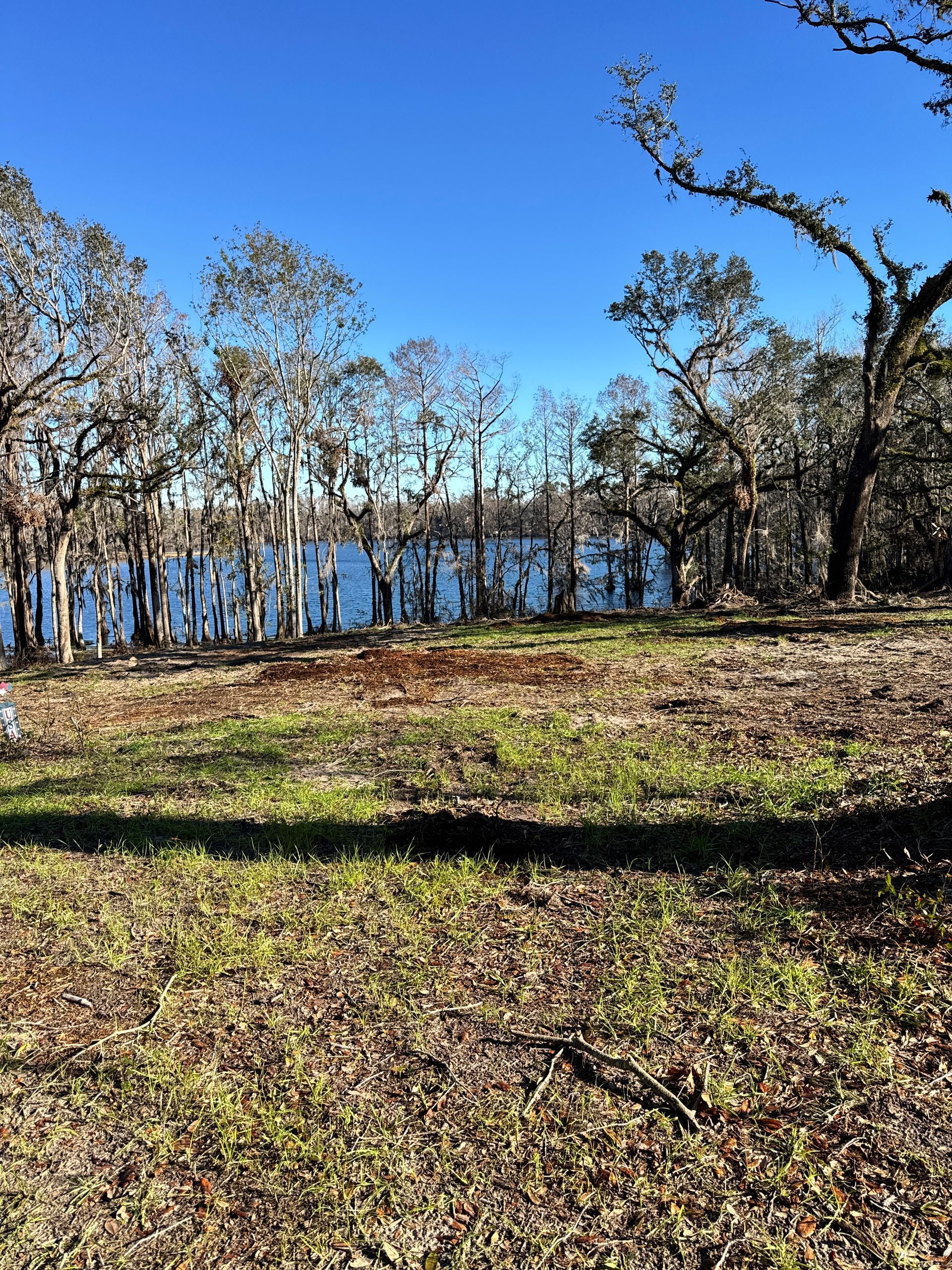 A field with trees and a body of water in the background.