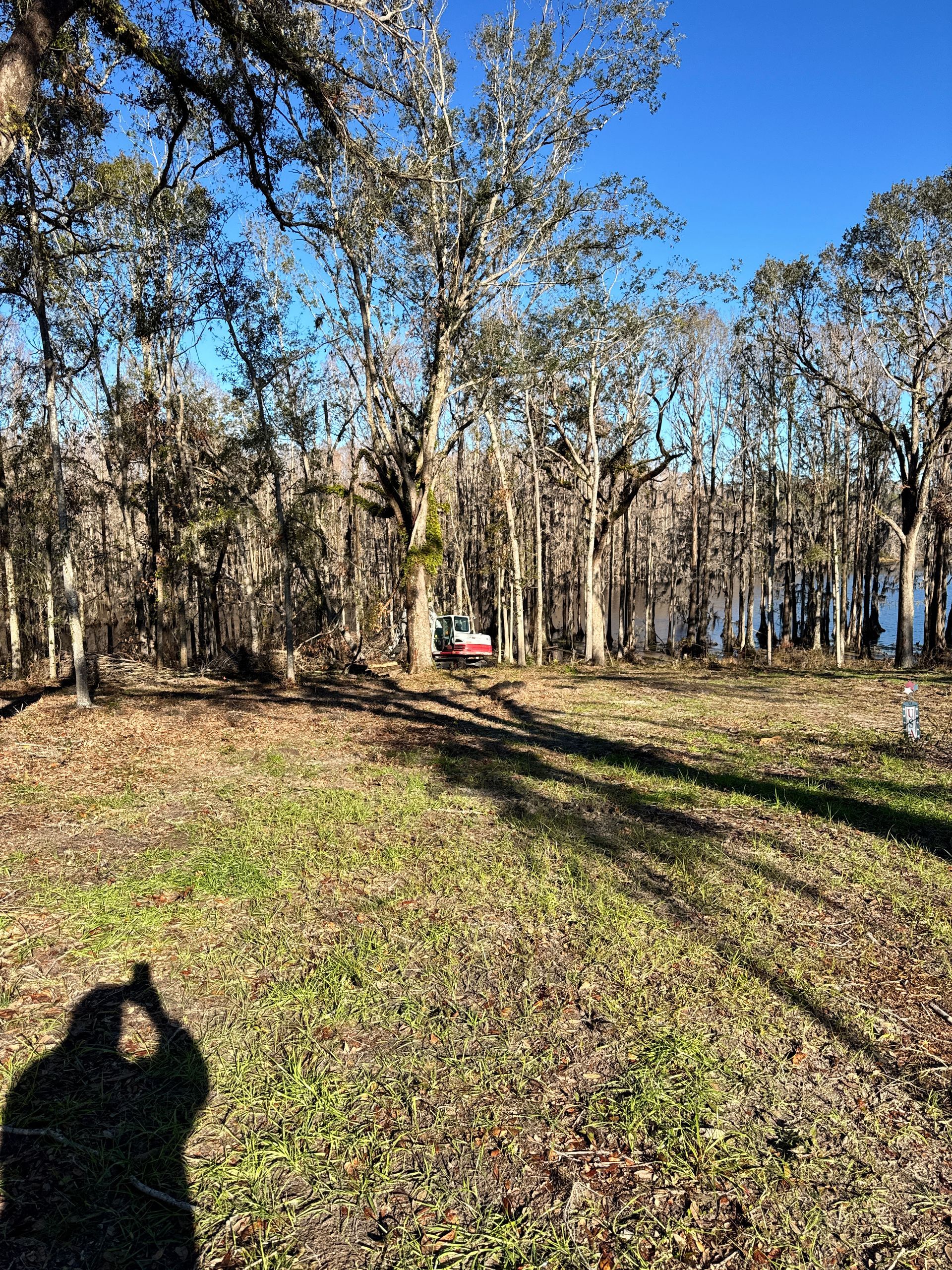 A person is taking a picture of a field with trees and a lake in the background.