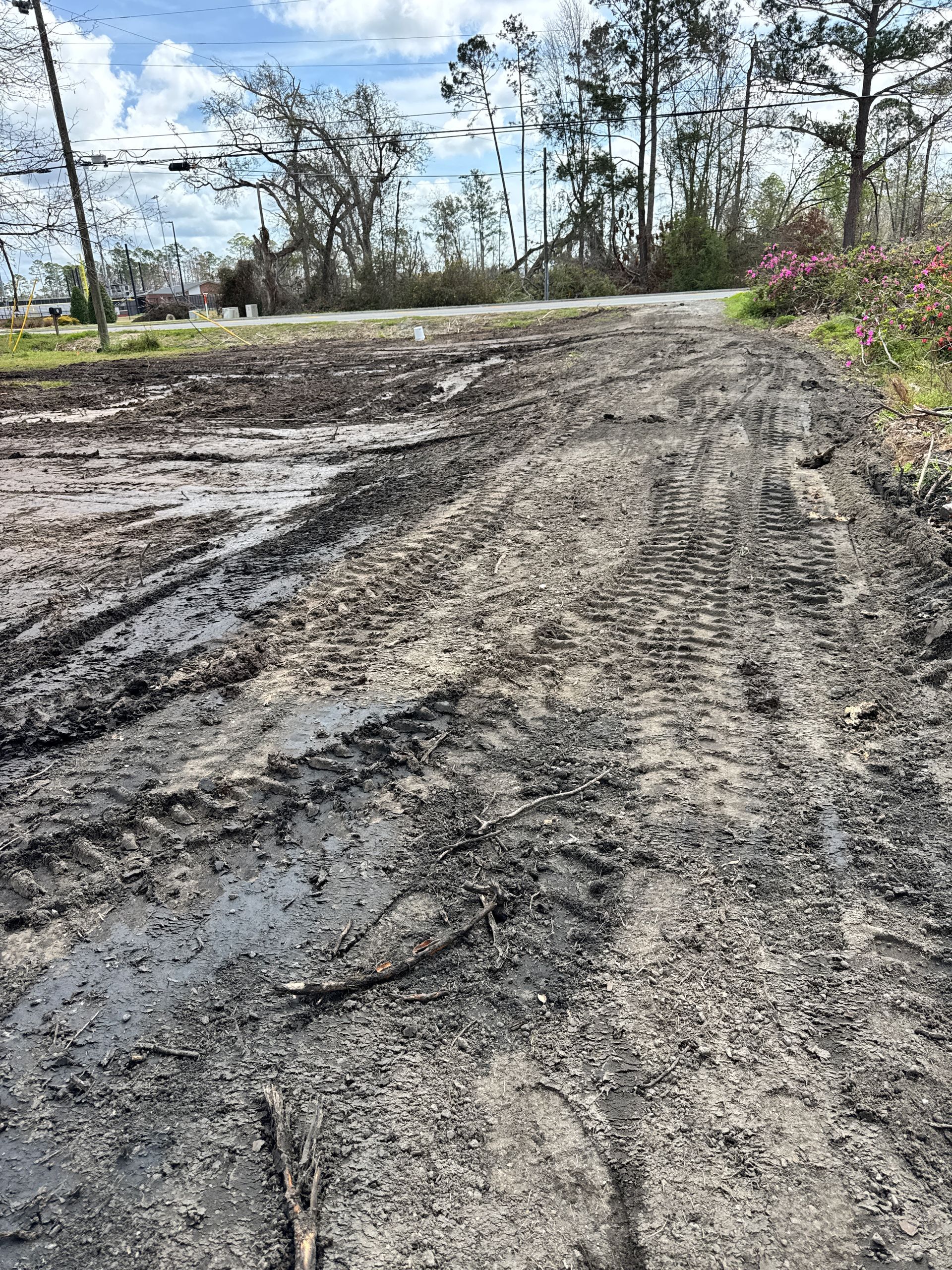 A muddy road with tire tracks on it and trees in the background.