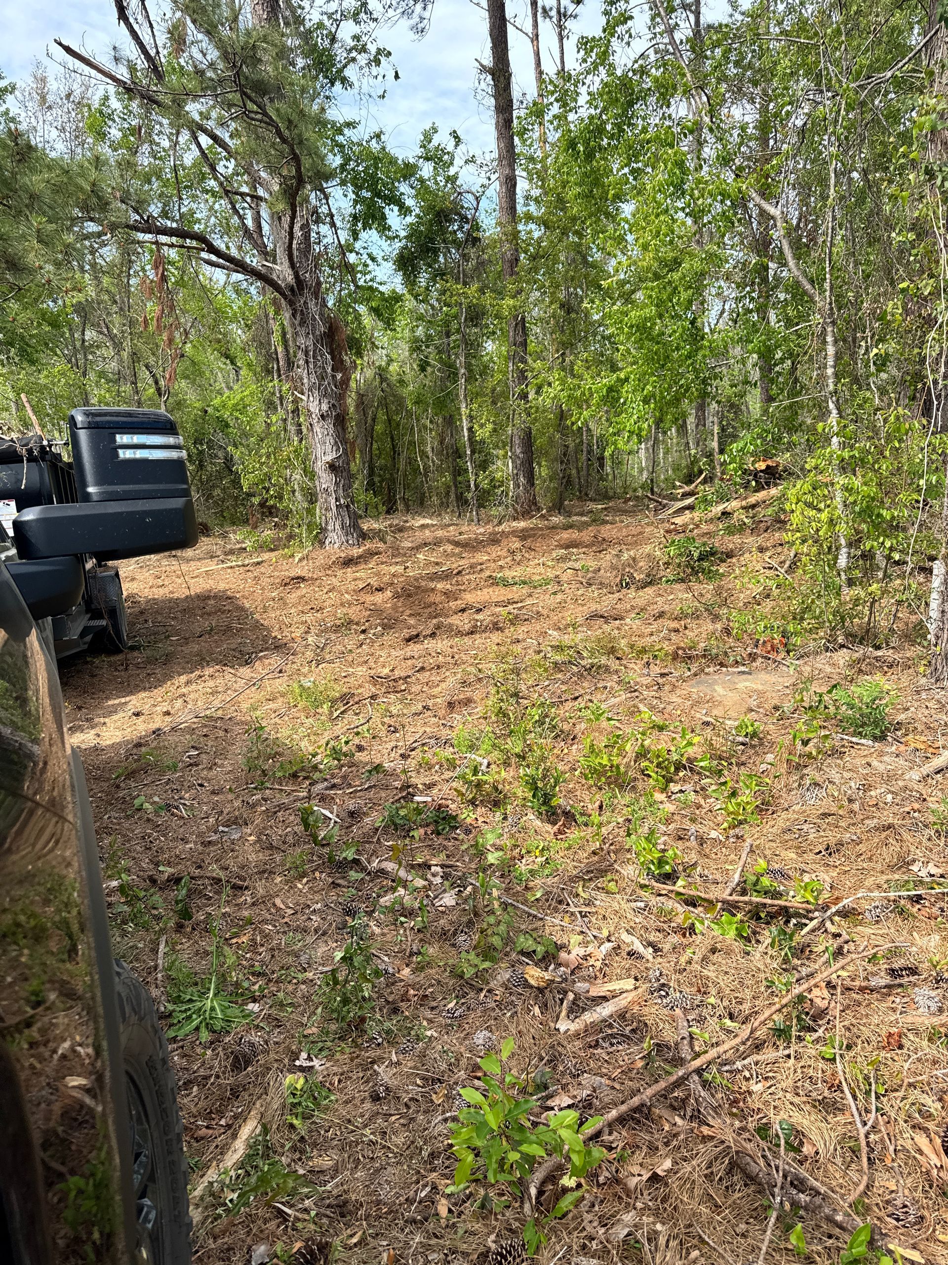A truck is parked in the middle of a forest.