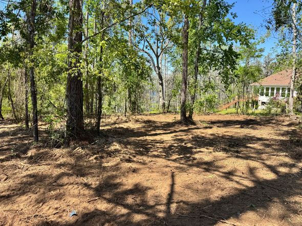 A lush green forest with trees and dirt in the foreground and a house in the background.