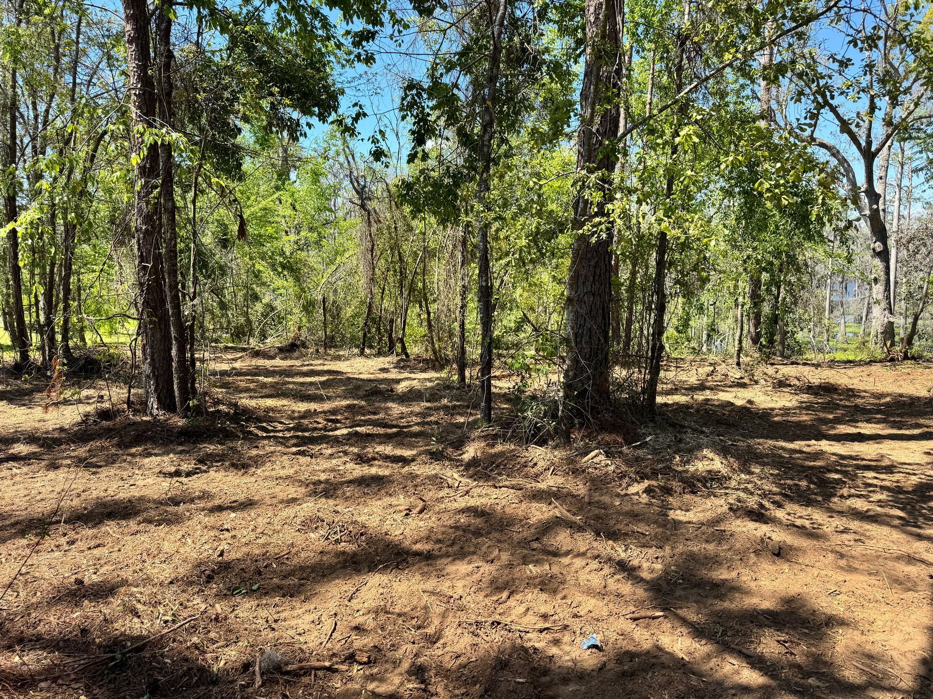 A dirt field surrounded by trees on a sunny day.