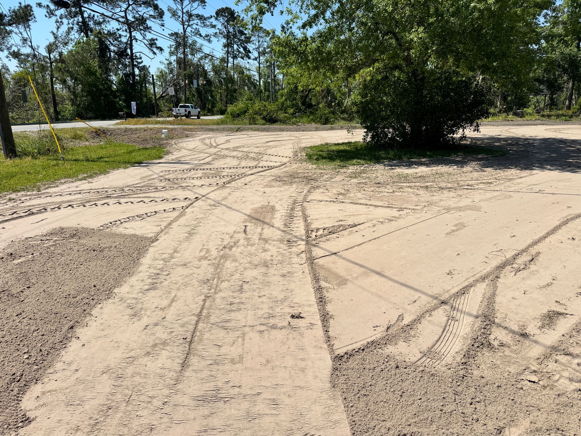 A dirt road with trees on the side of it