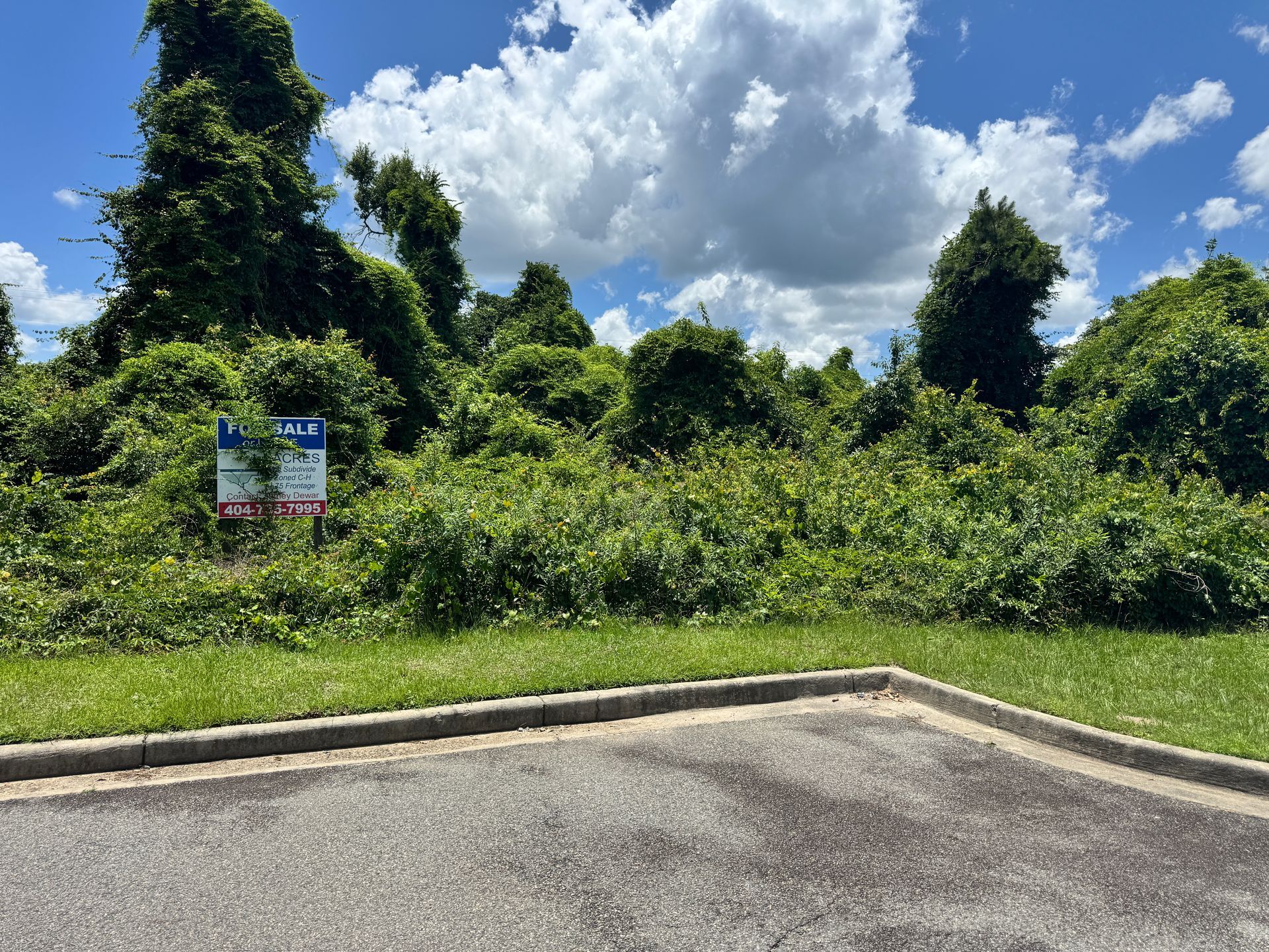 A for sale sign is sitting in the middle of a lush green field.