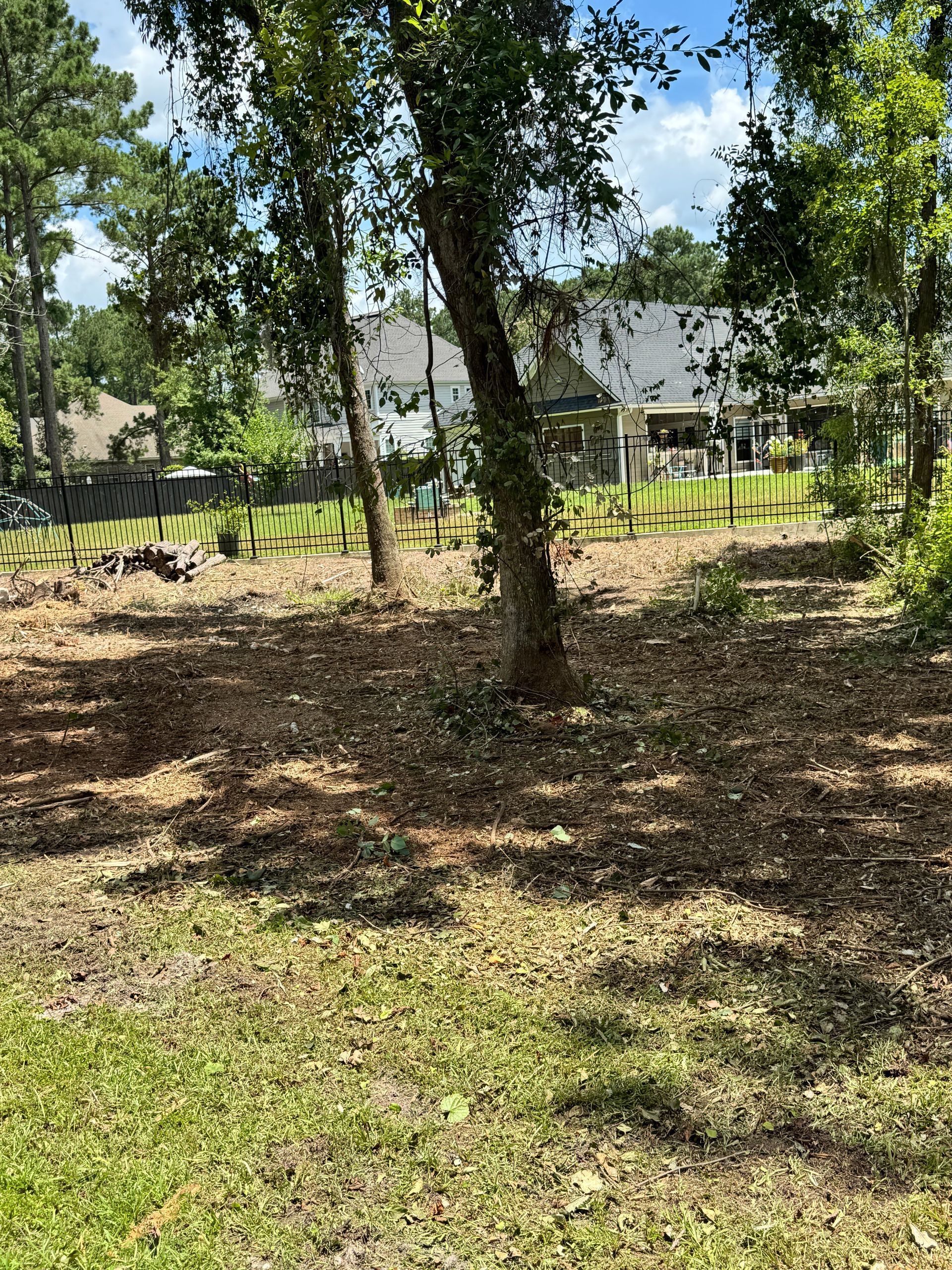 A lush green field with trees and a house in the background.