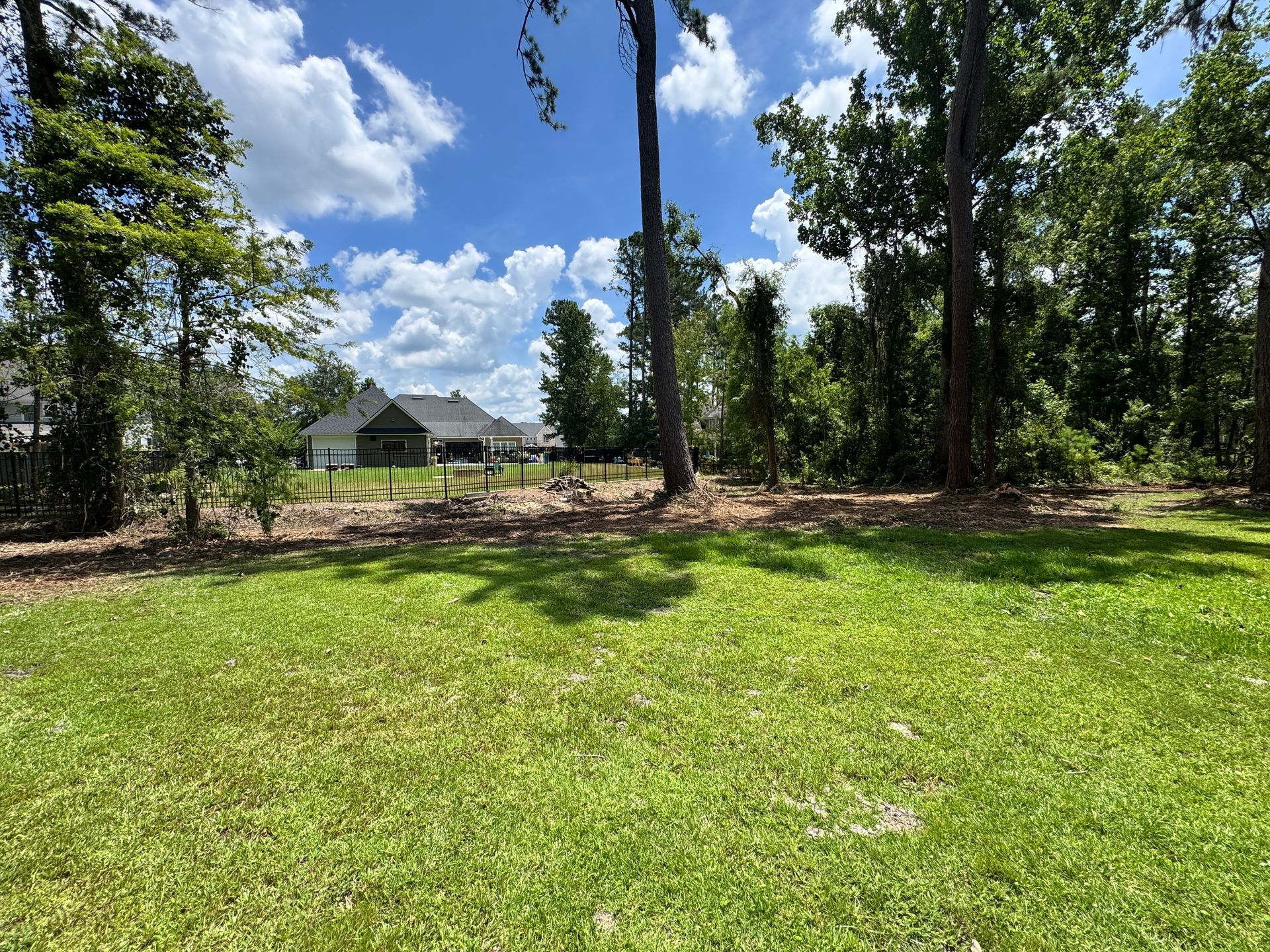 A lush green field with trees in the background and a house in the background.