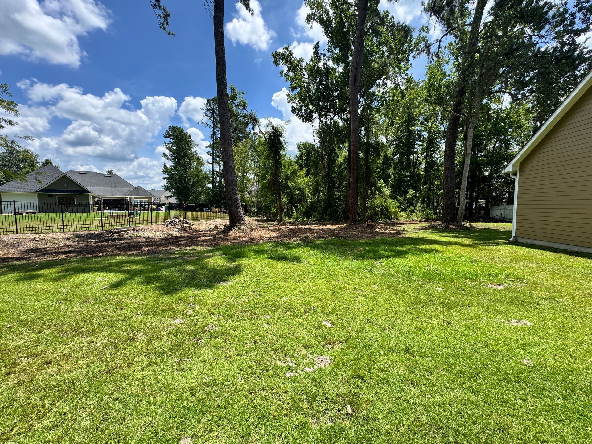 A lush green yard with a house in the background and trees in the background.
