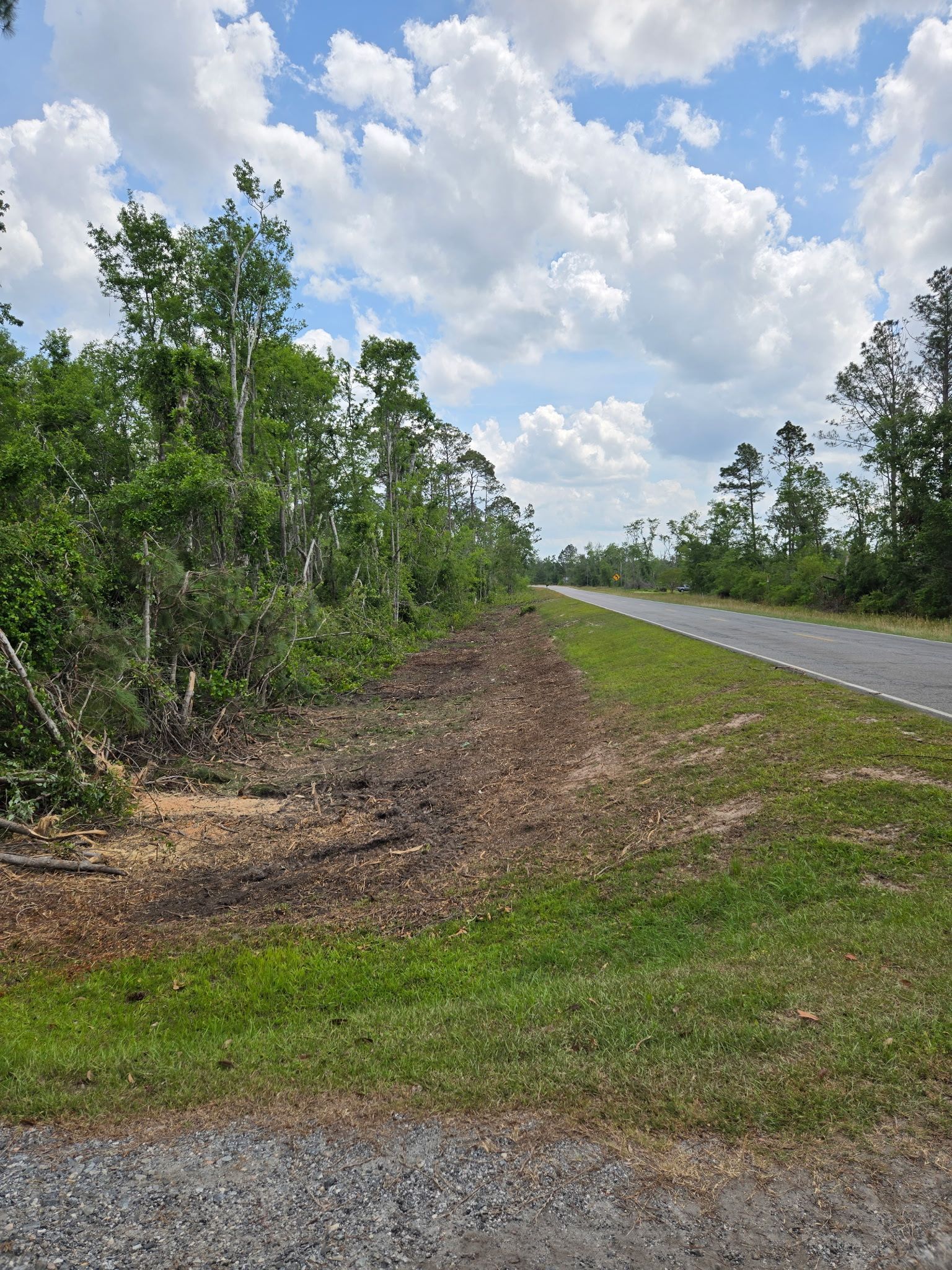 A road going through a grassy field with trees on the side of it.