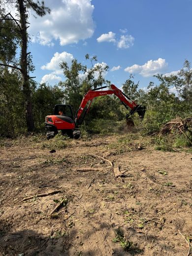 A yellow excavator is cutting down trees in a forest.
