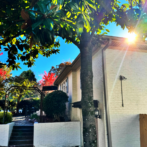 A white brick house with a tree in front of it