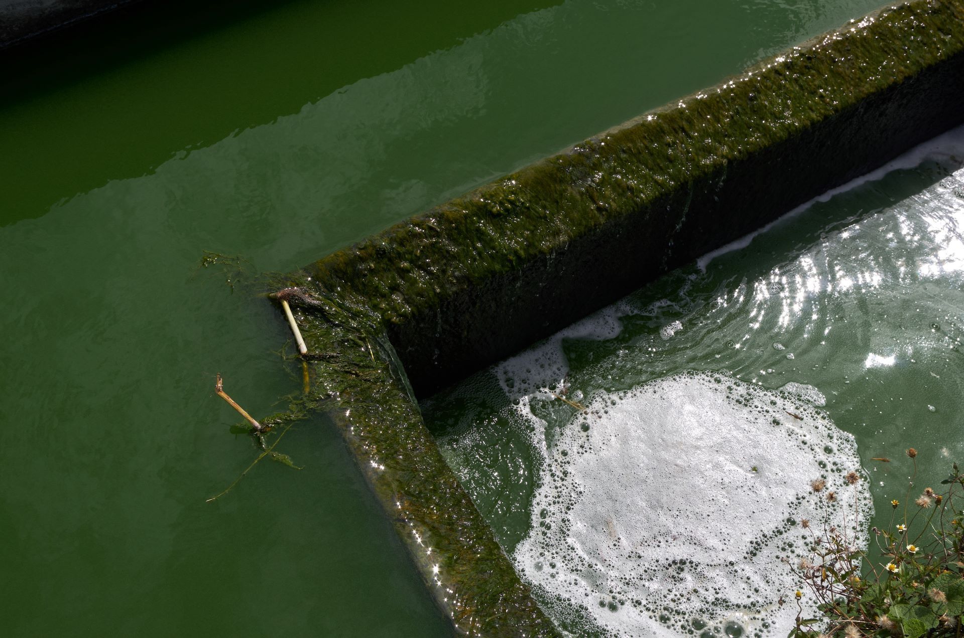 Water flows into the wastewater management system with foam build-up.