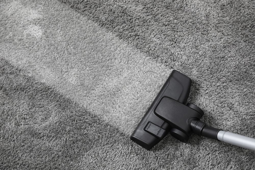 A vacuum cleaner nozzle pulling a clean path through a dirty, gray carpet.
