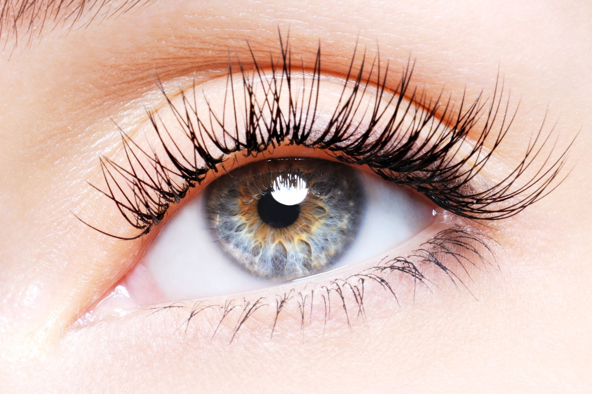 A close up of a woman 's eye with long eyelashes