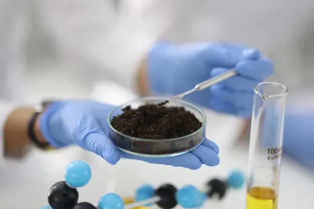Laboratory technician analyzing soil sample to determine foundation stability and moisture levels.
