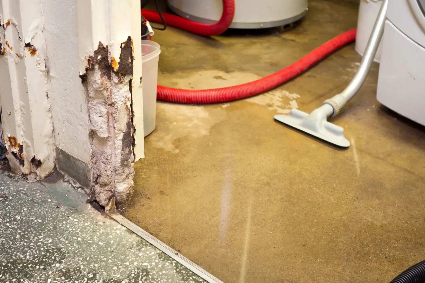 How to Dry a Basement After Flooding: Step-by-Step Guide