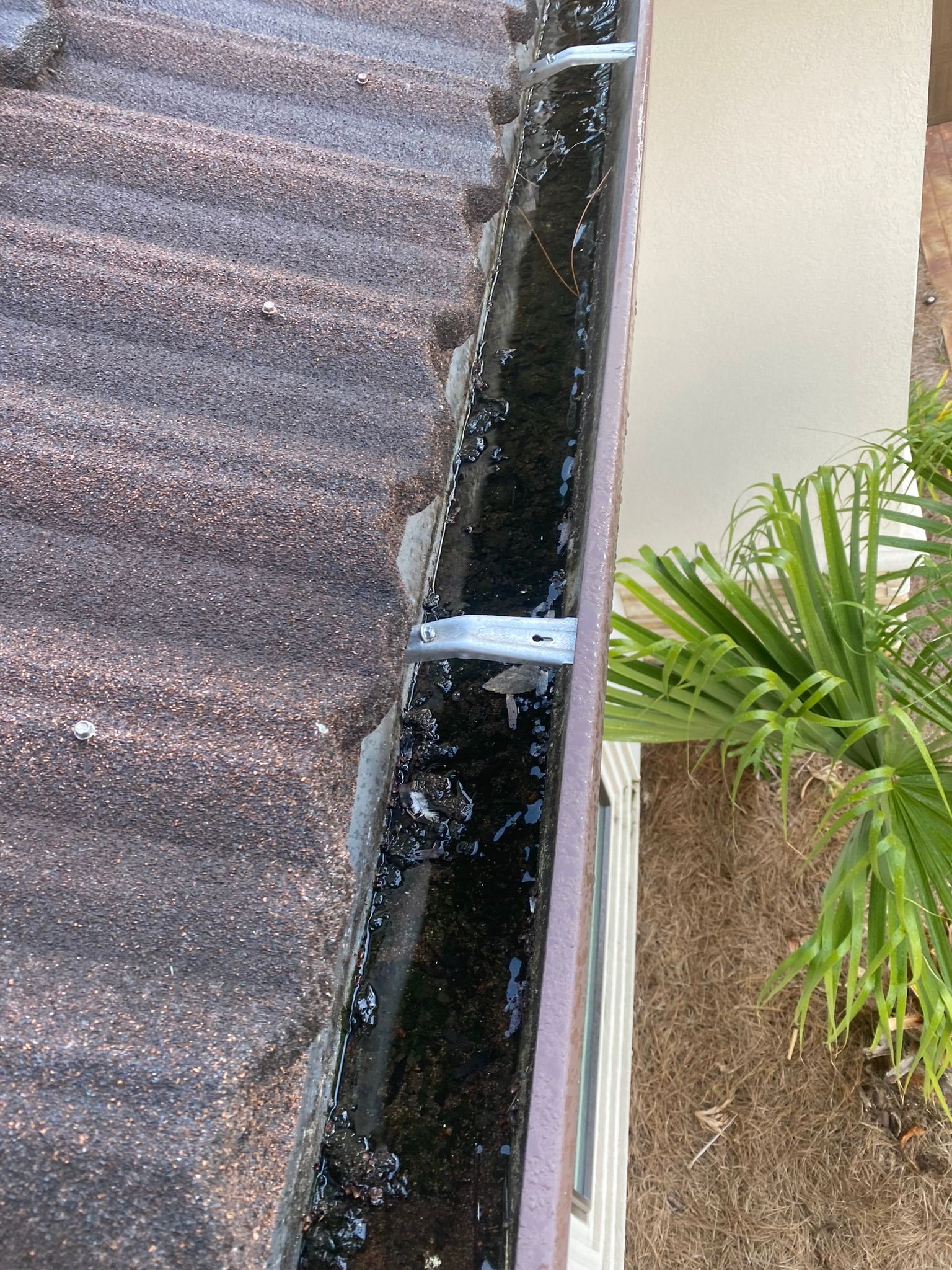 Foley Gutter Cleaning