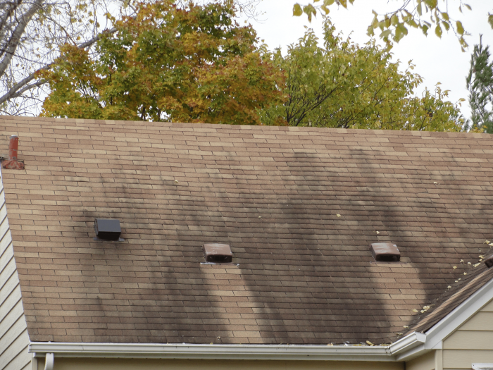 Black Streaks on Roof