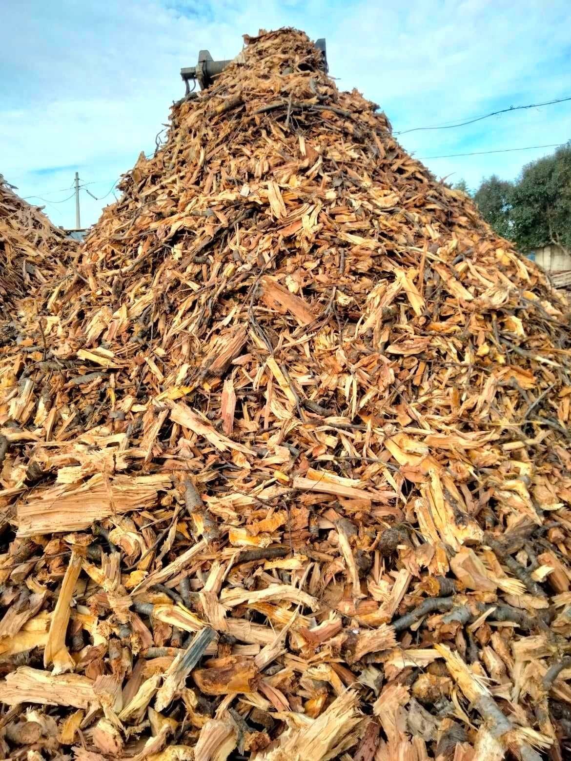 una pila di trucioli di legno.