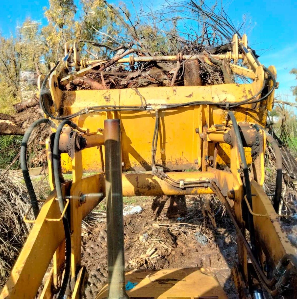 un trattore giallo con sopra un mucchio di rami.