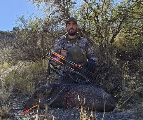 Javalina Hunting