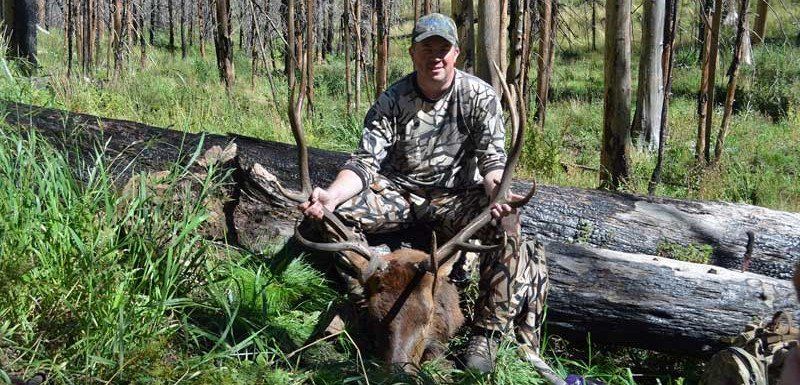 Big Arizona Elk Hunt
