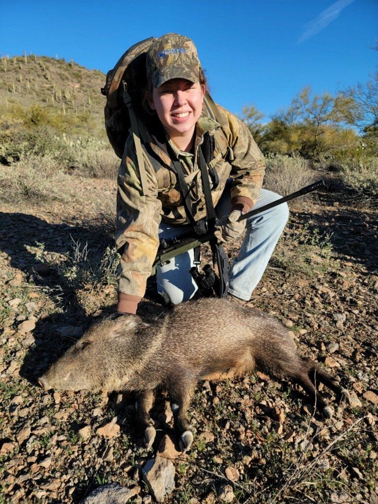 Javalina Hunting Arizona