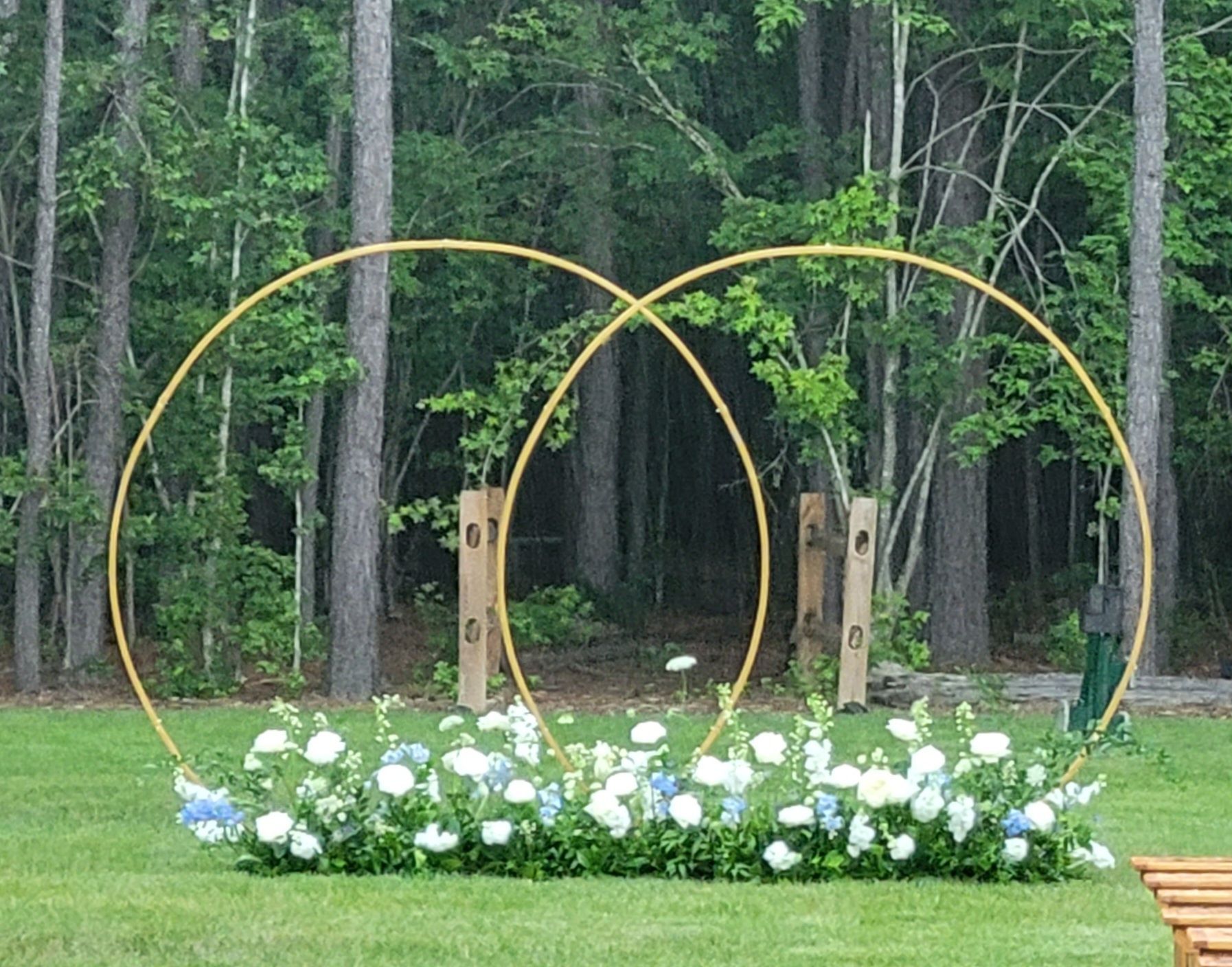 Two circles are in the middle of a field of flowers