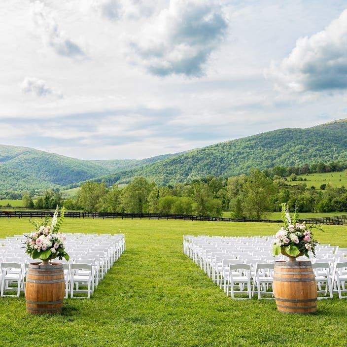 A row of chairs and barrels in a grassy field with mountains in the background.