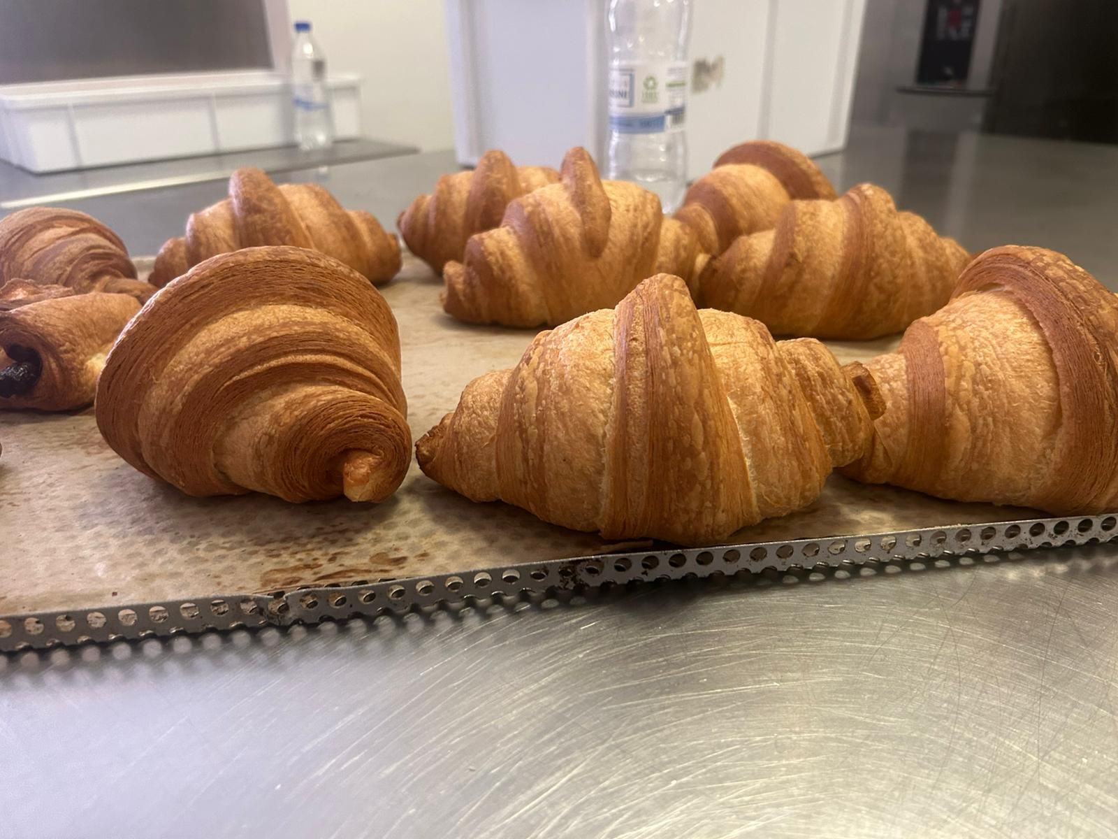 Croissant dorati appena sfornati su una superficie metallica in una cucina commerciale.